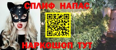 прущие крисы Будённовск