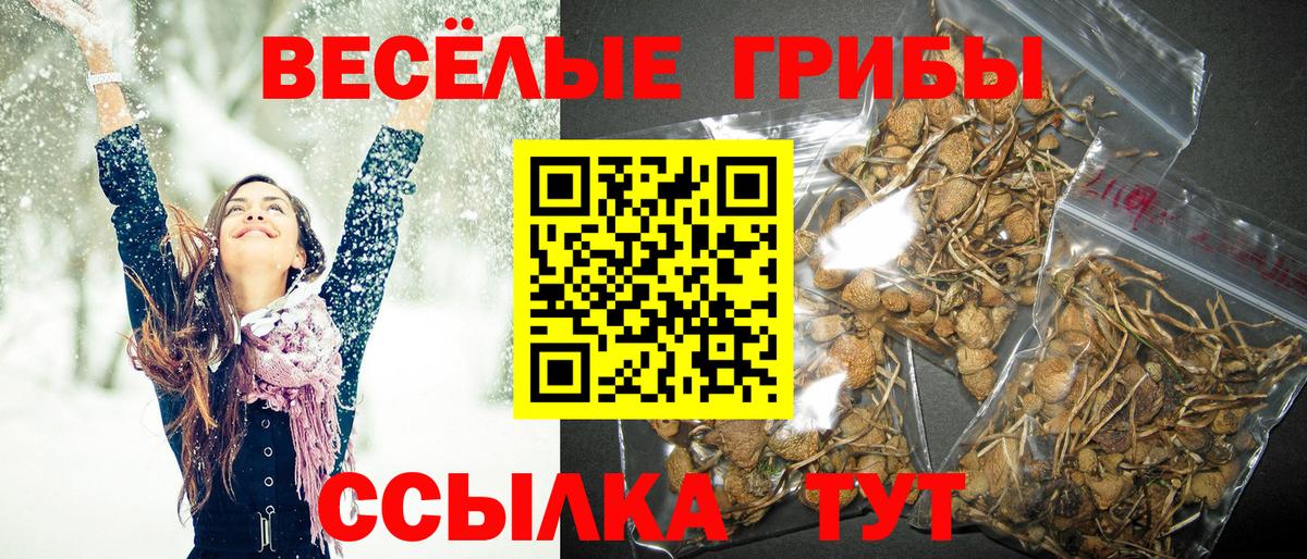 Псилоцибиновые грибы ЛСД  Вход с VPN  Магадан 